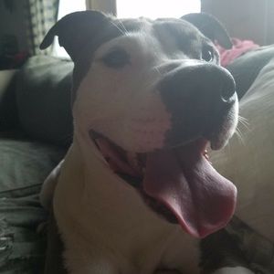 Meet your Posher, Ryann